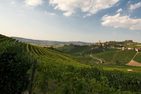 Arborina Relais, Winery