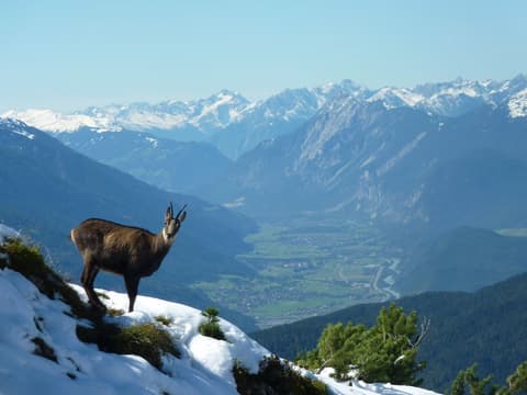 Appartements Rabitsch Hof