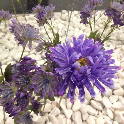 Lisbon City Apartments & Suites by City Hotels, Interior