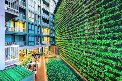 Cross Vibe Chiang Mai Decem