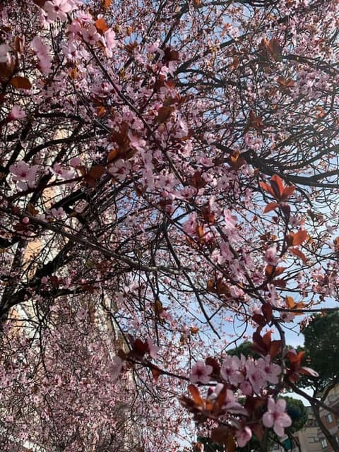 Casa Tua Vaticano Guest House