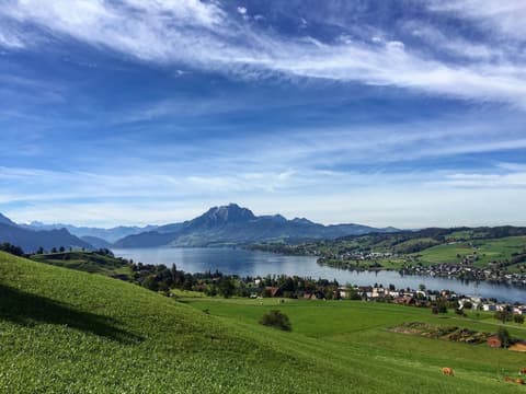 Swiss-Chalet Merlischachen - Historik Chalet-Hotel Lodge
