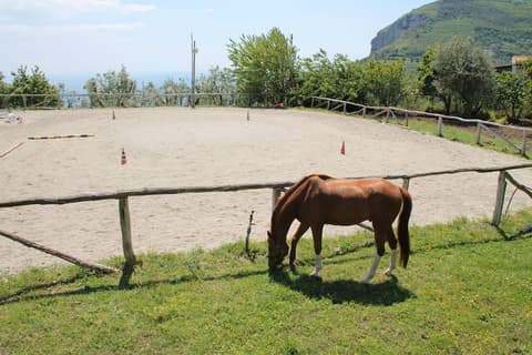 Agriturismo Piccolo Paradiso, Sports facility