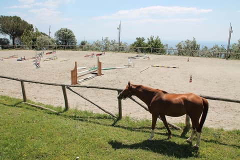 Agriturismo Piccolo Paradiso