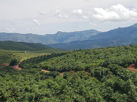 Sherwood's Country House