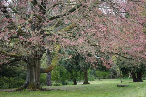 Oddfellows on the Park
