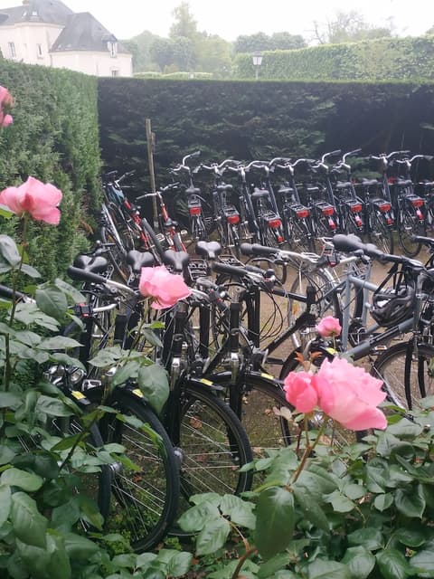 Hôtel Anne De Bretagne Blois