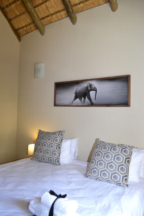 Raptors Wildlife Escapes