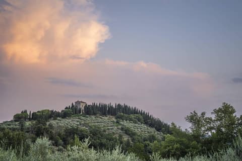 Agriturismo Crocino in Chianti