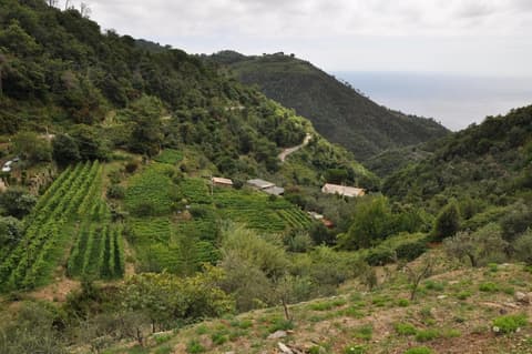 Agriturismo Costa di Campo