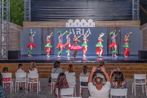 Aria Resort & Spa, Theater show