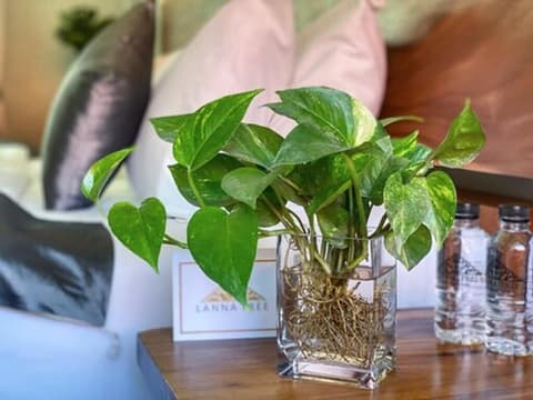 Lanna Tree Boutique Hotel