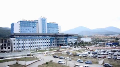 dovsOtel