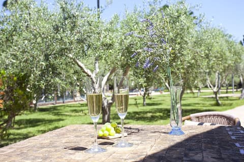 S'Hort de Son Caulelles - Adults Only, View from room