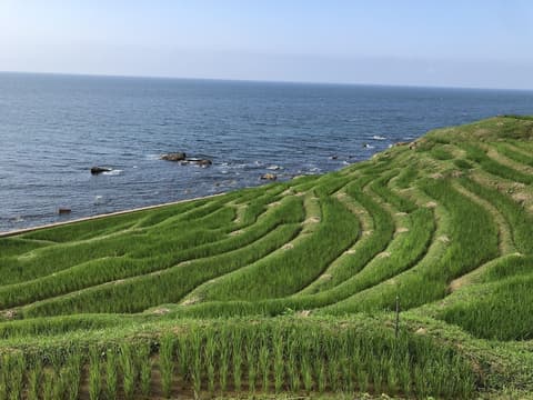 Kanazawa Guesthouse Stella - Hostel
