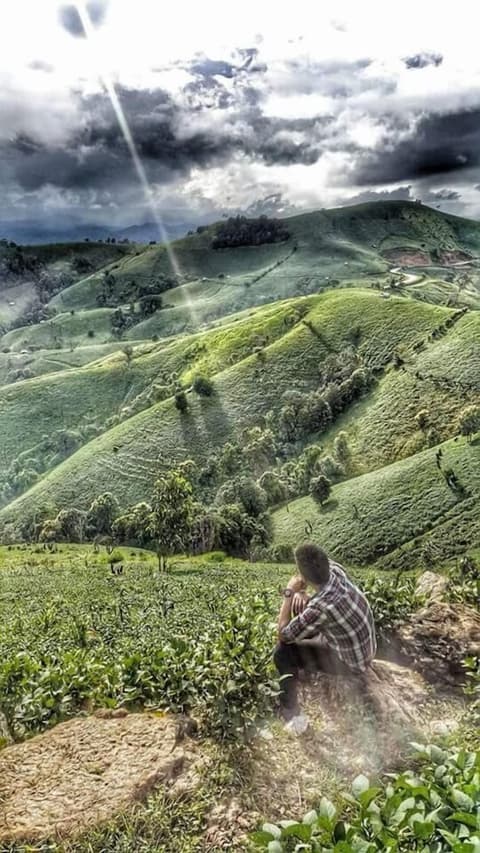 Above the Sea Guesthouse