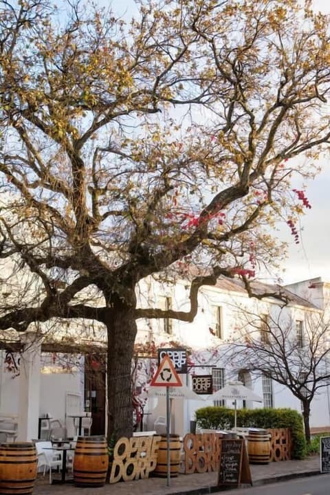 Avemore Jan Cats No 5 - with backup power