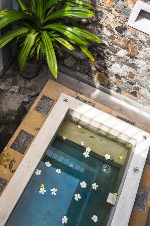 Villa White Queen Resort & Spa