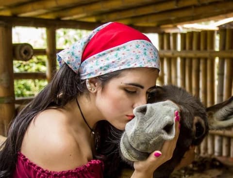 Bosques Del Saman Alcalá