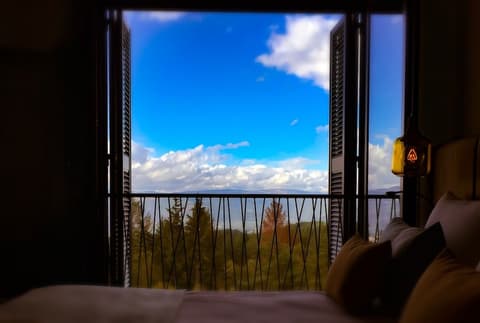 Pena Park Hotel, View from room