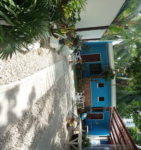 Pedz Cing Mango Lodge