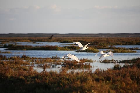 Hotel Cidade de Olhão