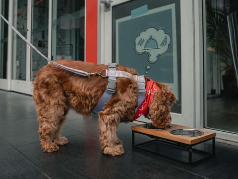 ibis Lima Reducto Miraflores, Miscellaneous