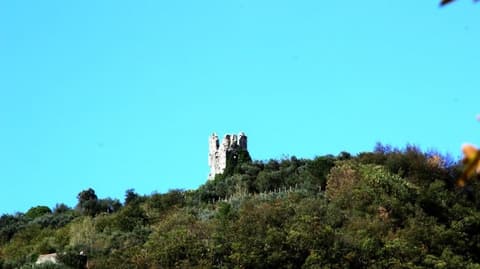 Casa Scola Agriturismo