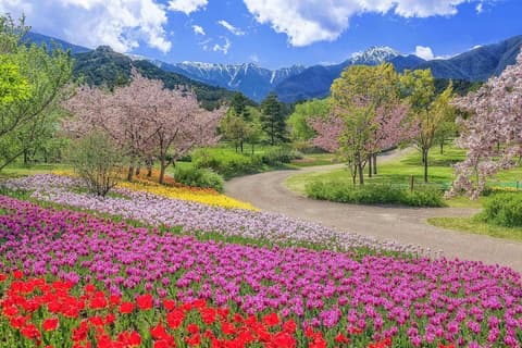 Hotel Trend Matsumoto