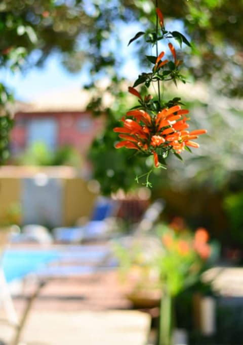 Pousada do Namorado, Garden