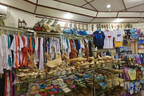 Safari Island Resort