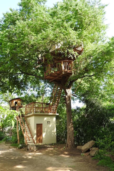 Riverside Cabana Yala