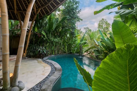 The Udaya Resorts and Spa, View from room