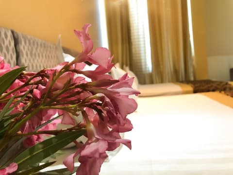 Hotel Kompleksi Arifi