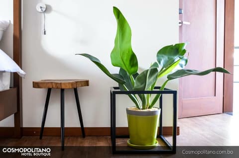 Cosmopolitano Hotel Boutique