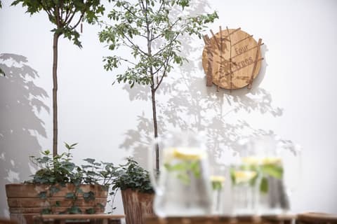 4 Trees Apartments by Adrez Living