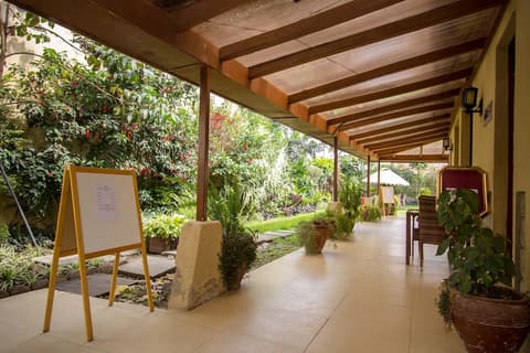 Eseriani The Hotel, Terrace/patio