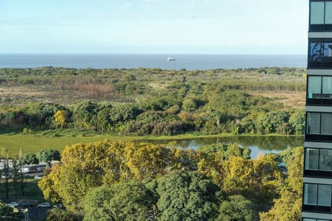 Alvear Icon Hotel, Room