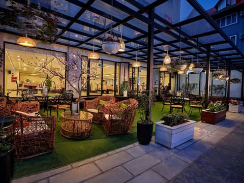 Freesia Hotel, Terrace/patio