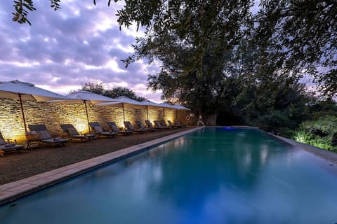 Karongwe - Becks Safari Lodge