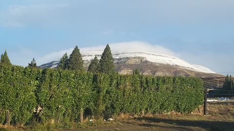 South B&B El Calafate