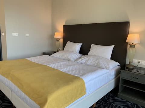 Parkhotel Carlsbad Inn, Room