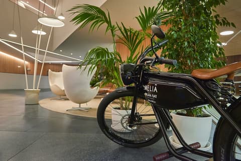 Melia Palma Bay, Interior entrance