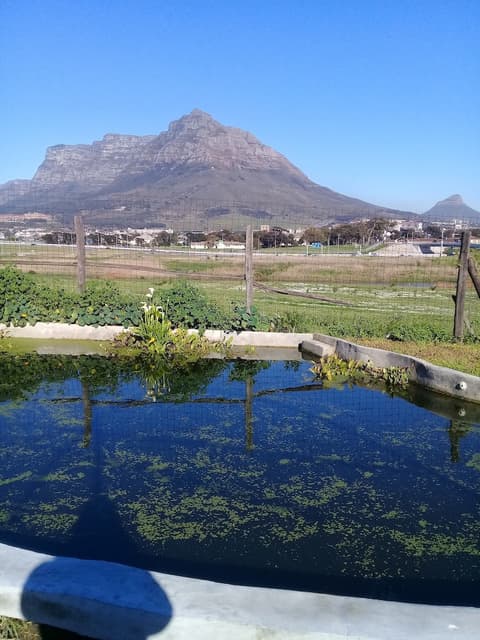 Lighthouse Farm Backpackers Lodge