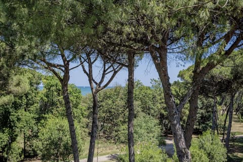 Hotel Stella del Mare