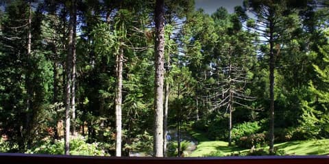 Chalets do Vale, View from room