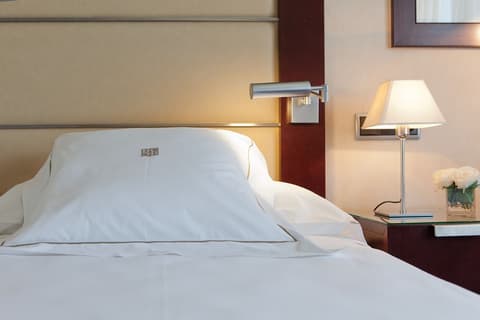 Hotel Andalucia Center, Room