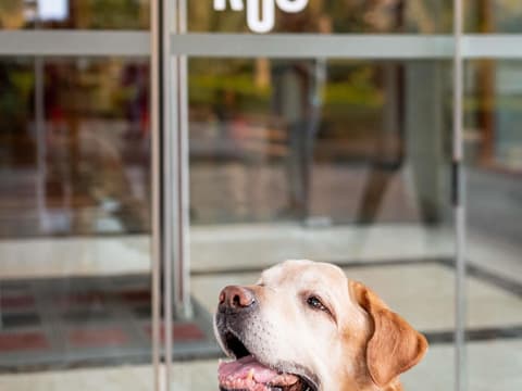 ibis London Excel Docklands