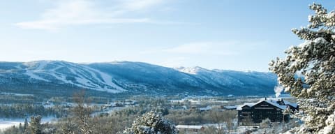 Highland Lodge, Terrace/patio