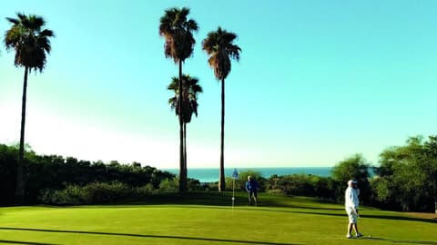 Fay Victoria Beach, Golf